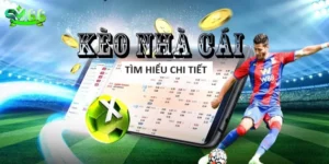 keo-nha-cai-5-cham-net-2