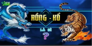 rong-ho-2